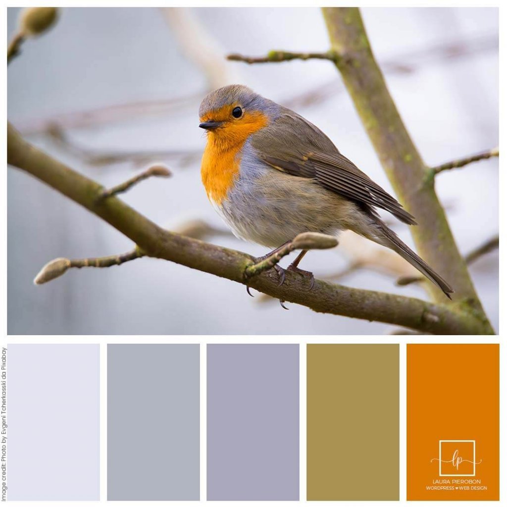 Palette colori di Gennaio 2021 © Laura Pierobon - WordPress ❤︎ Web Design
