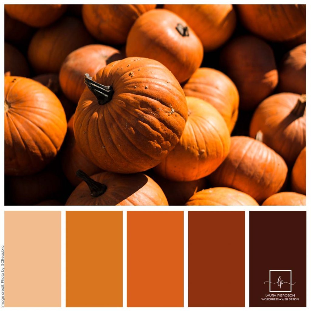 Palette colori di Ottobre 2022 © Laura Pierobon - WordPress ❤︎ Web Design