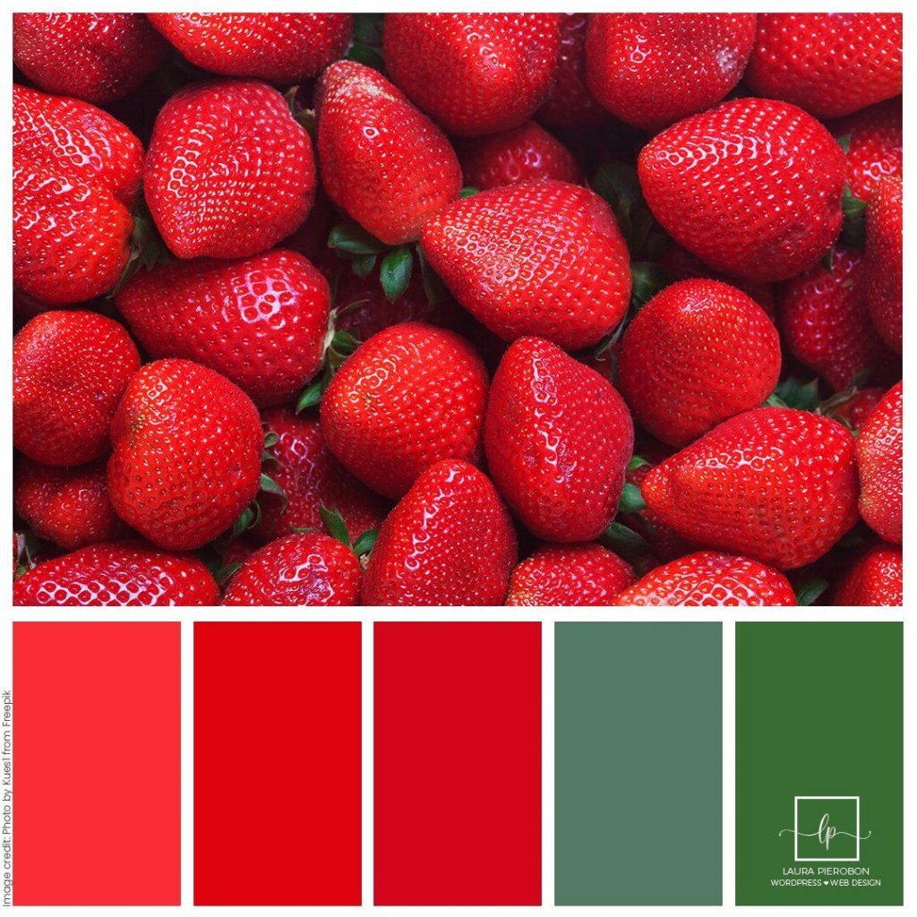 Palette colori di Maggio 2022 © Laura Pierobon - WordPress ❤︎ Web Design